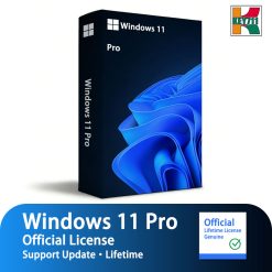 Windows 11 Professional Edition Product Key
