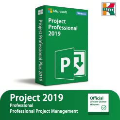 Project Professional 2019
