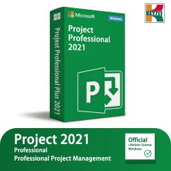 Project Professional 2021