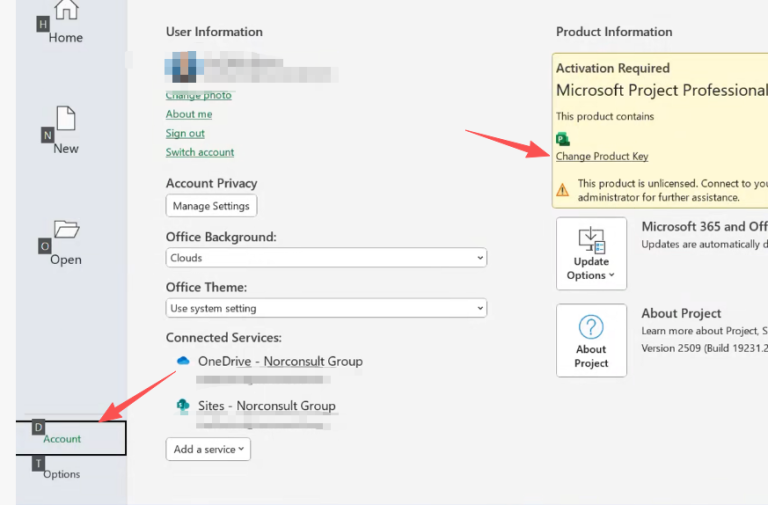 Microsoft Project & Visio Professional Plus — Installation Guide ...