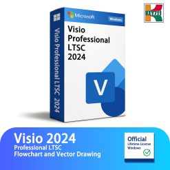 Visio Professional 2024